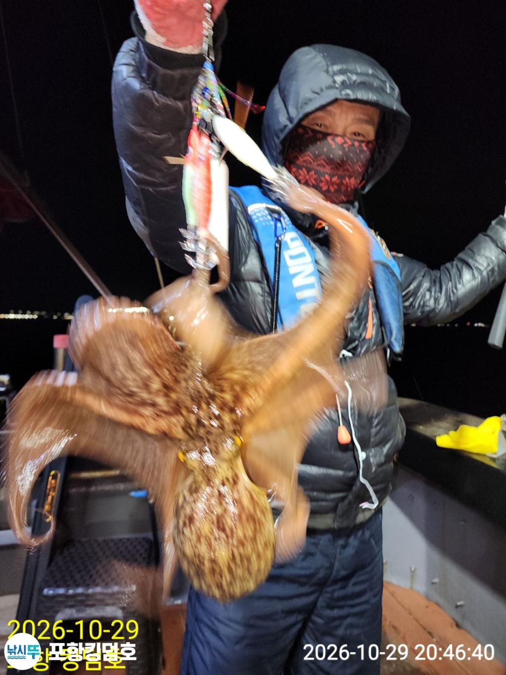 낚시뚜,돌문어,쭈꾸미,영일만항,포항 킹덤호,낚시뚜18