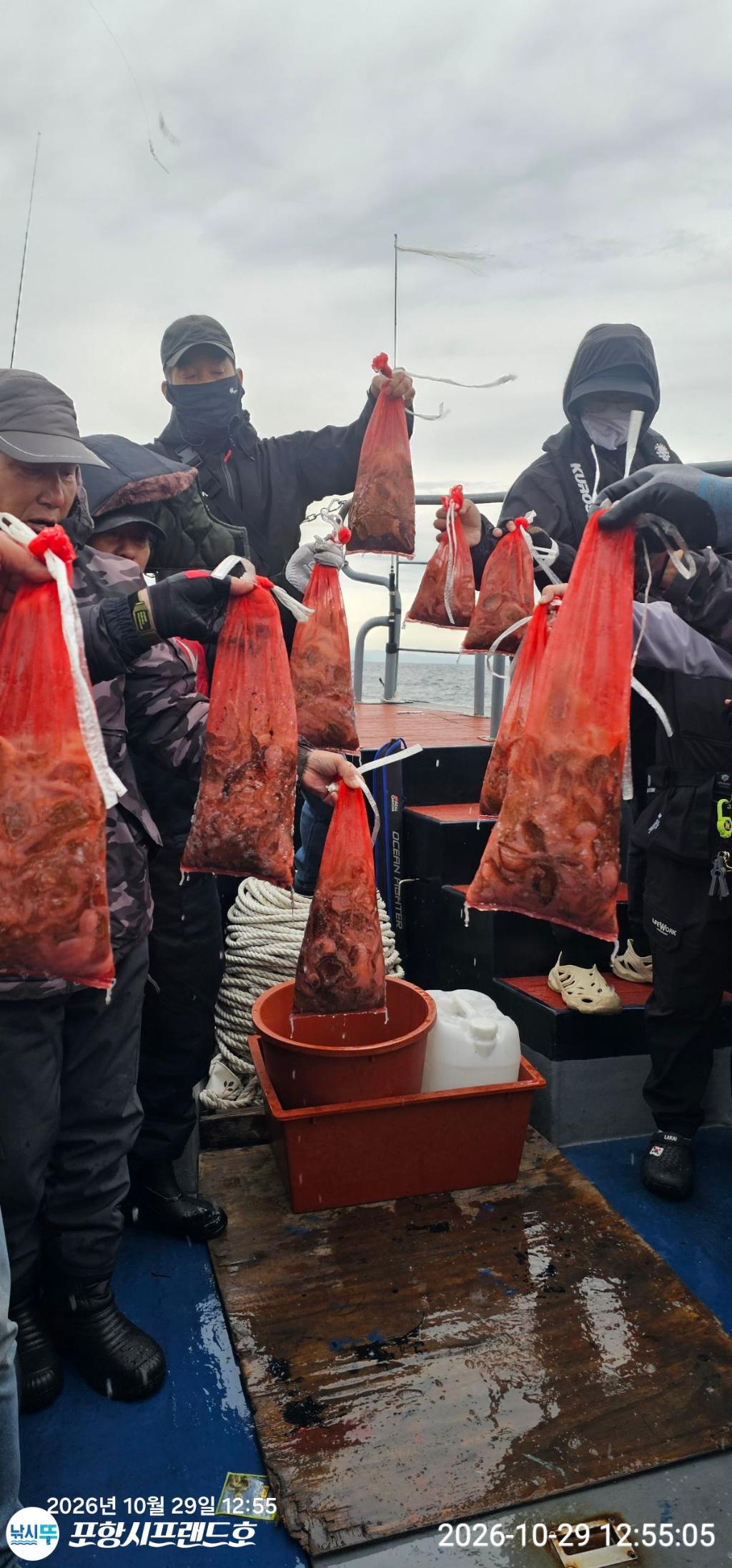 낚시뚜,쭈꾸미,영일만항,포항시프랜드호,낚시뚜1