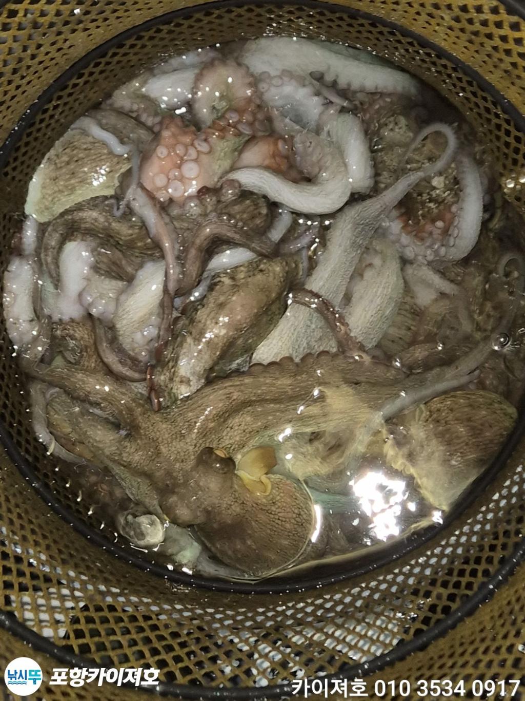 낚시뚜,기타 (직접입력),영일만항,포항카이져호,낚시뚜58