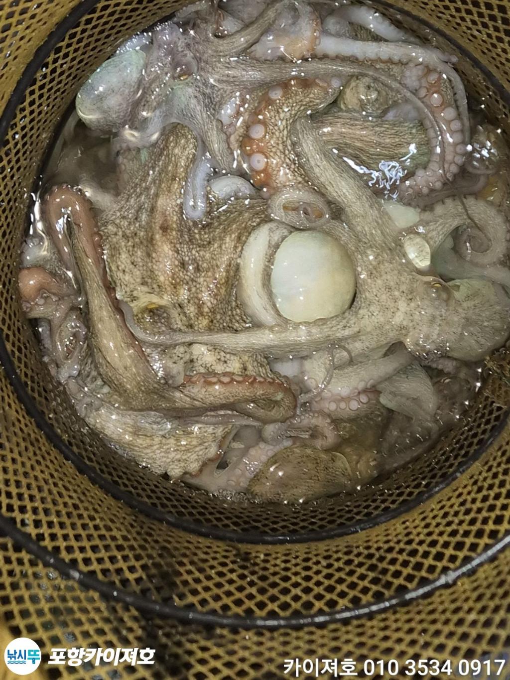 낚시뚜,기타 (직접입력),영일만항,포항카이져호,낚시뚜57
