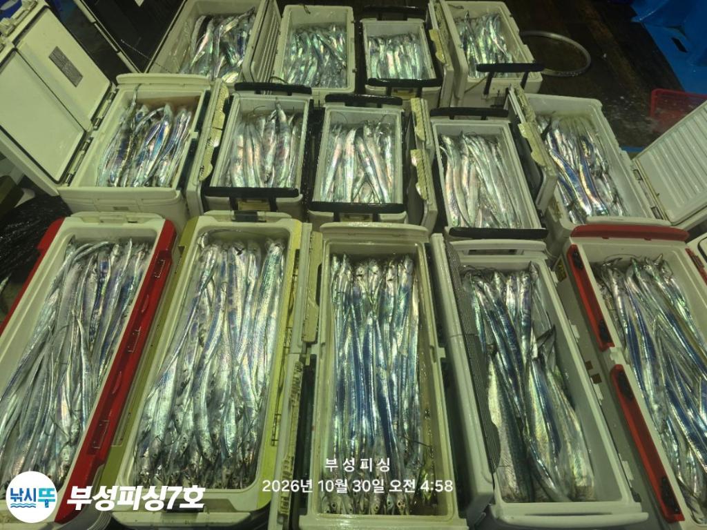 낚시뚜,갈치,통영영운리항,부성피싱7호,낚시뚜20