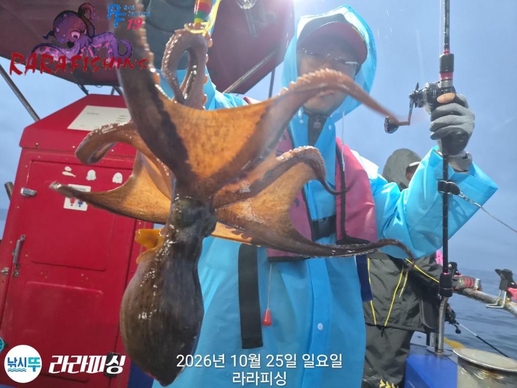 낚시뚜,돌문어,속천항(진해),라라피싱,낚시뚜8