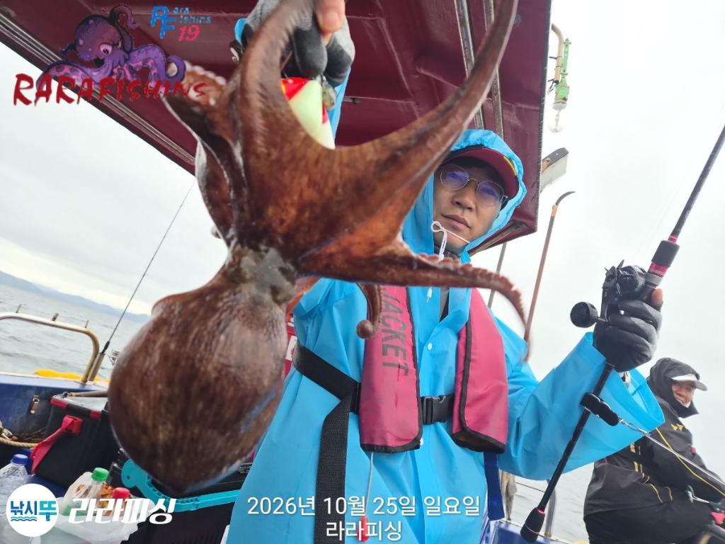 낚시뚜,돌문어,속천항(진해),라라피싱,낚시뚜4