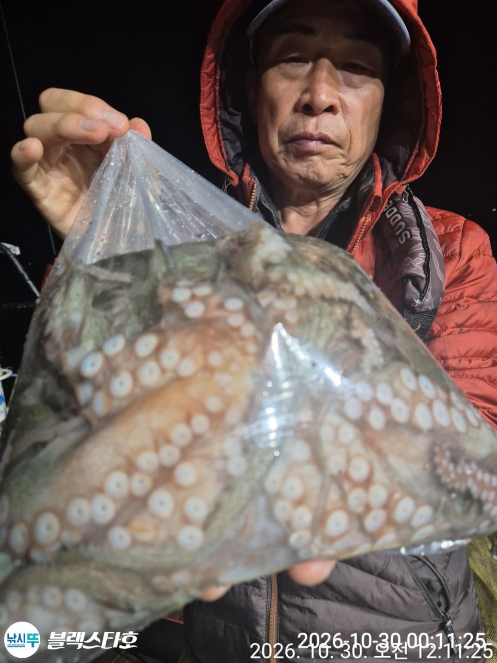 낚시뚜,돌문어,삼천포 팔포항,삼천포 블랙스타,낚시뚜3