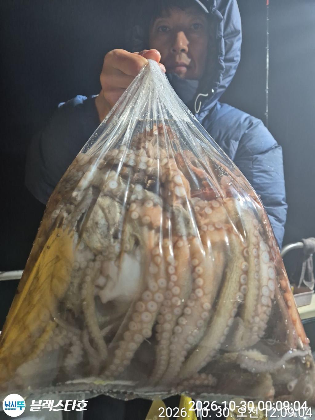 낚시뚜,돌문어,삼천포 팔포항,삼천포 블랙스타,낚시뚜2
