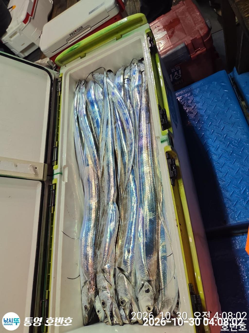 낚시뚜,갈치,통영 신전항,통영호반호,낚시뚜29