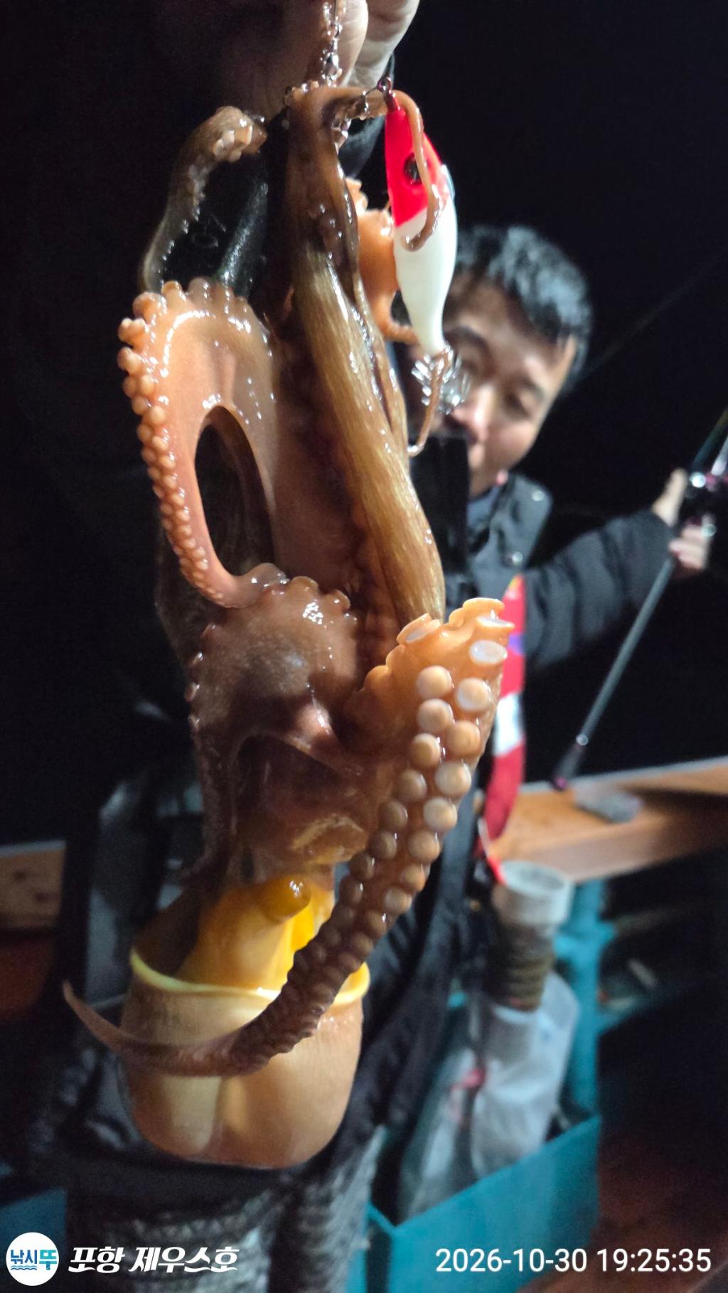 낚시뚜,돌문어,쭈꾸미,영일만항,포항 제우스호,낚시뚜36