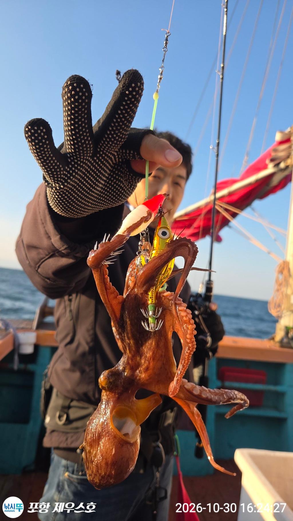 낚시뚜,돌문어,쭈꾸미,영일만항,포항 제우스호,낚시뚜26