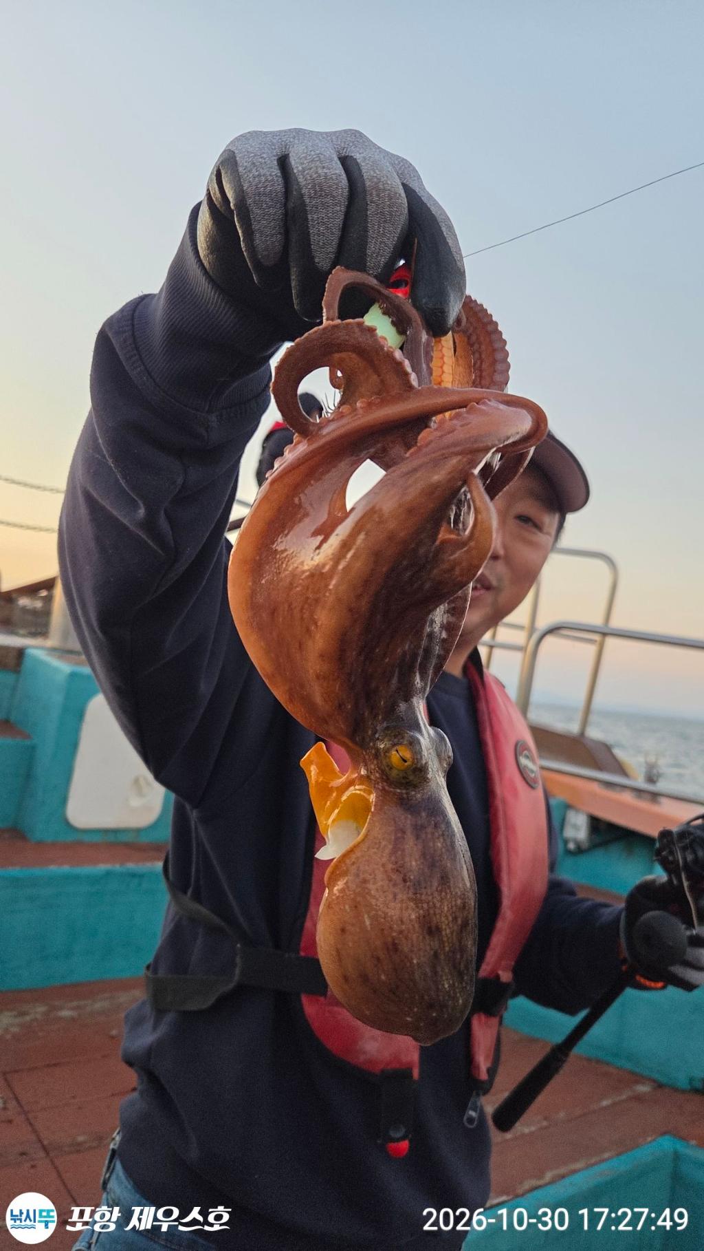 낚시뚜,돌문어,쭈꾸미,영일만항,포항 제우스호,낚시뚜24