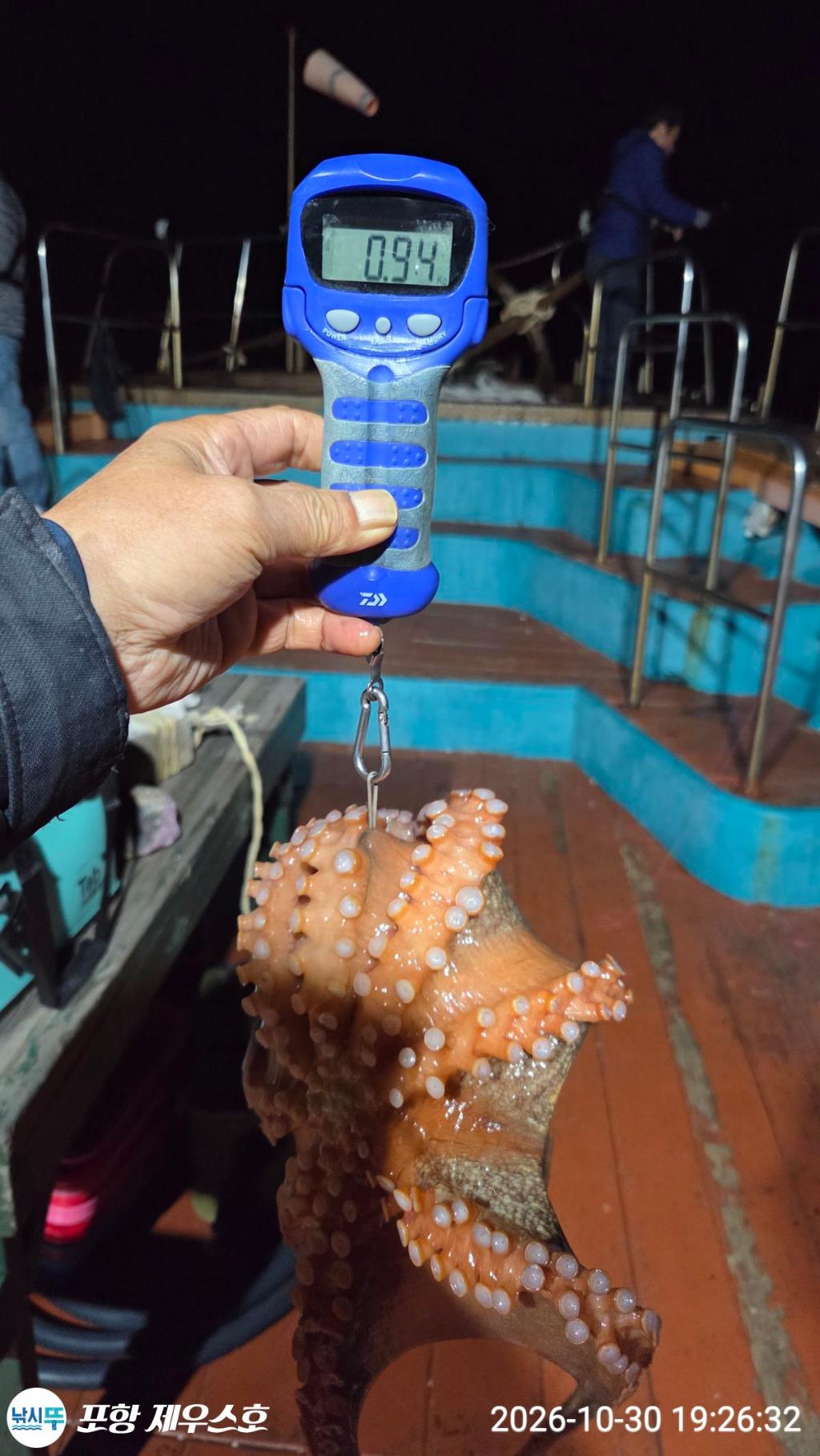 낚시뚜,돌문어,쭈꾸미,영일만항,포항 제우스호,낚시뚜16