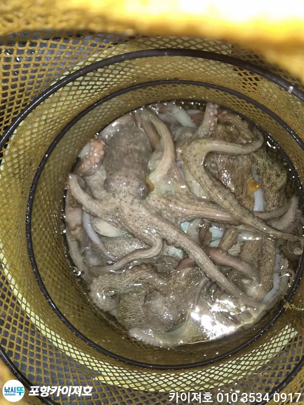 낚시뚜,기타 (직접입력),영일만항,포항카이져호,낚시뚜50