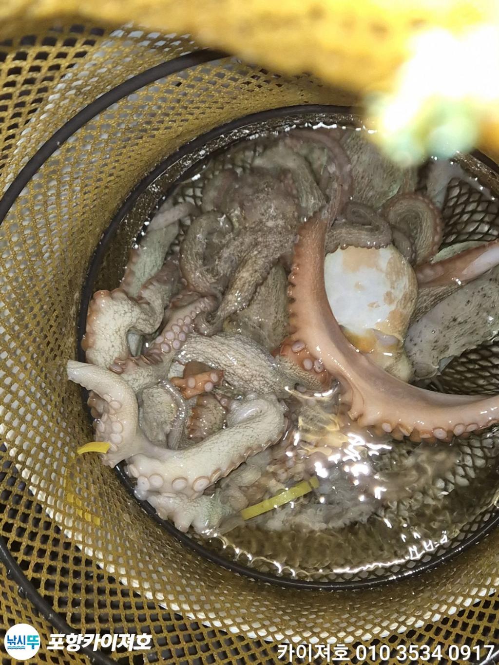 낚시뚜,기타 (직접입력),영일만항,포항카이져호,낚시뚜49