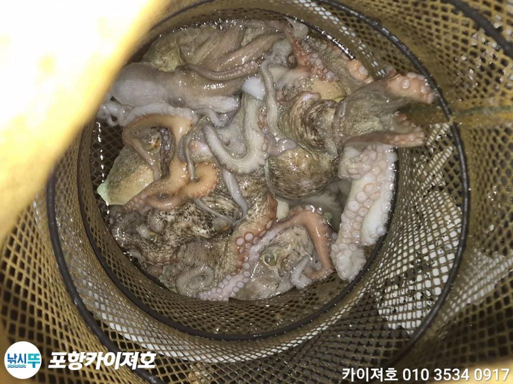 낚시뚜,기타 (직접입력),영일만항,포항카이져호,낚시뚜37