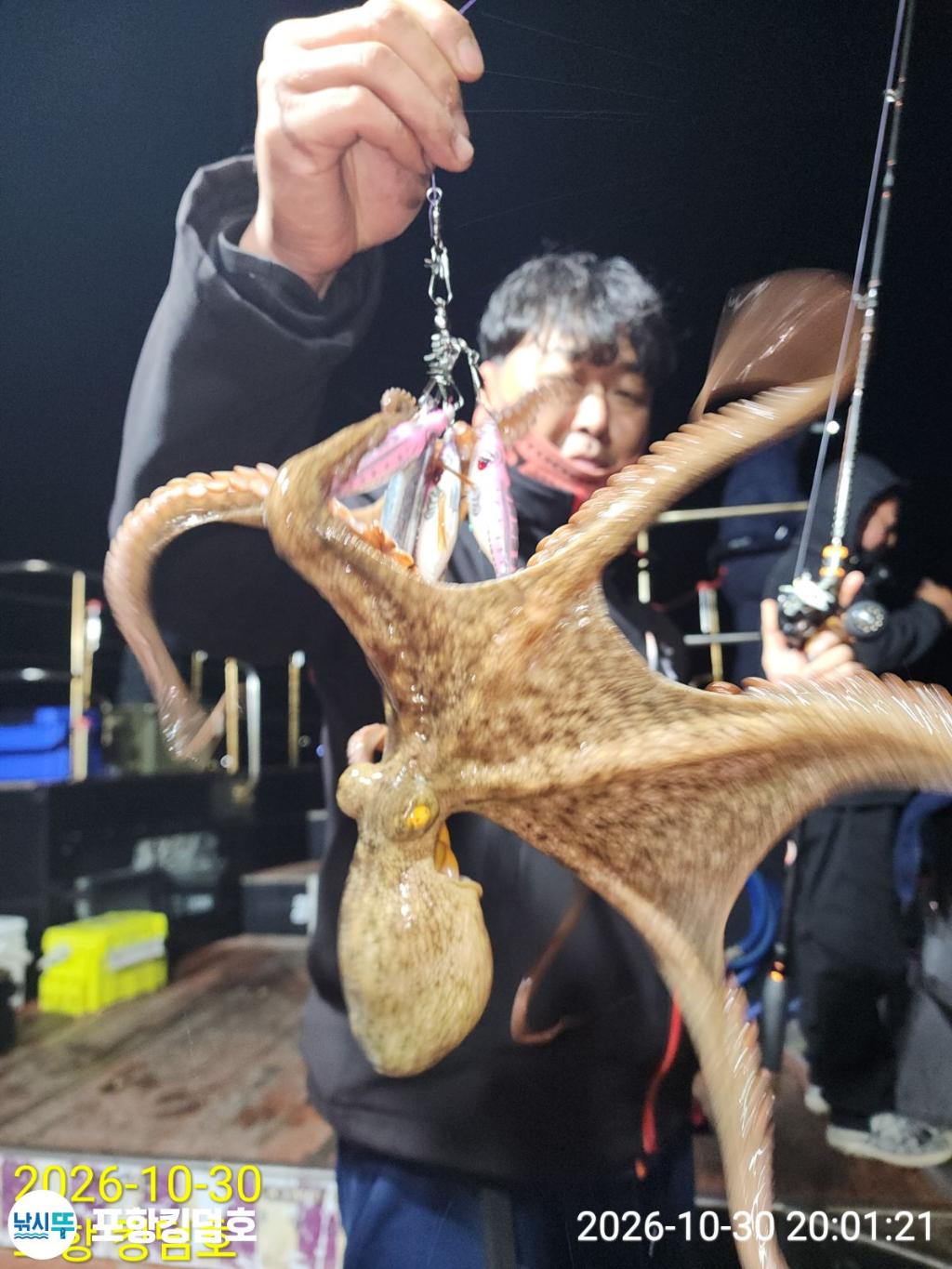 낚시뚜,돌문어,쭈꾸미,영일만항,포항 킹덤호,낚시뚜8