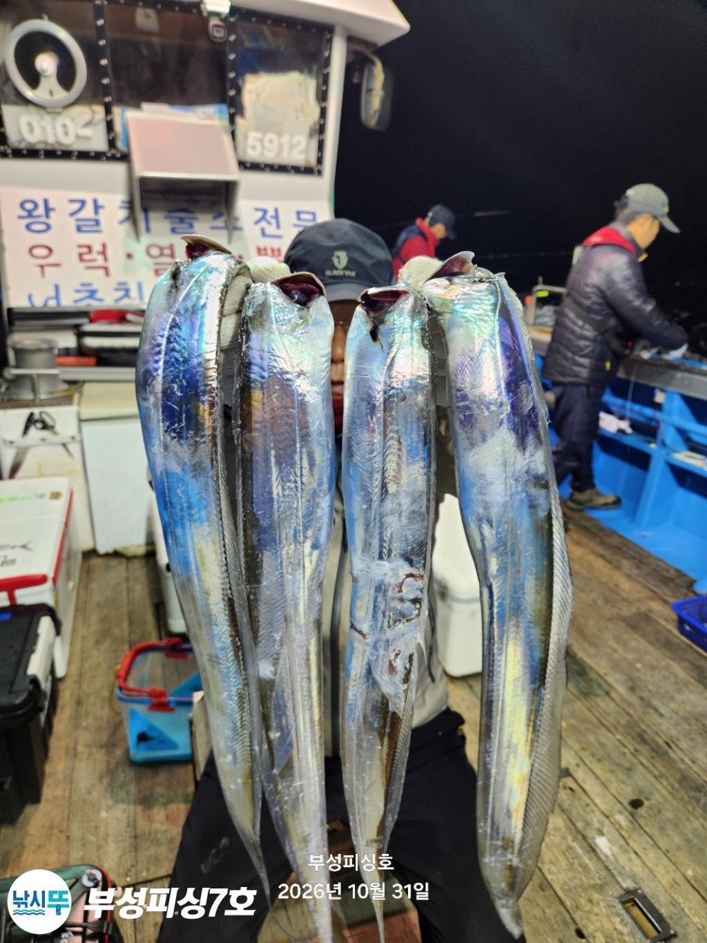 낚시뚜,갈치,통영영운리항,부성피싱7호,낚시뚜15