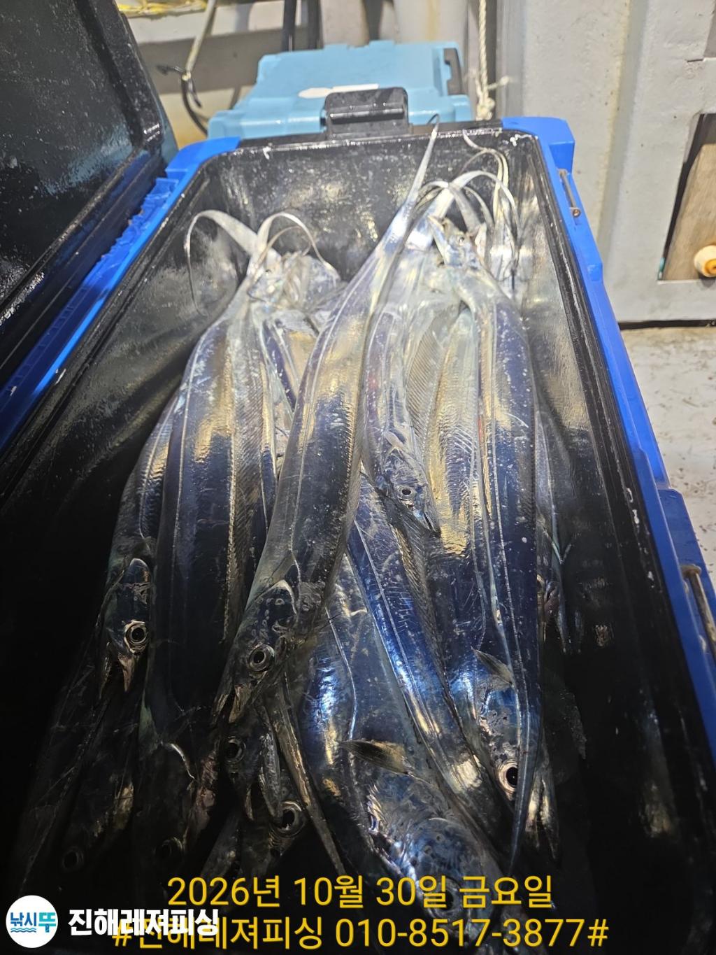 낚시뚜,갈치,진해1부두항,진해레져피싱,낚시뚜23