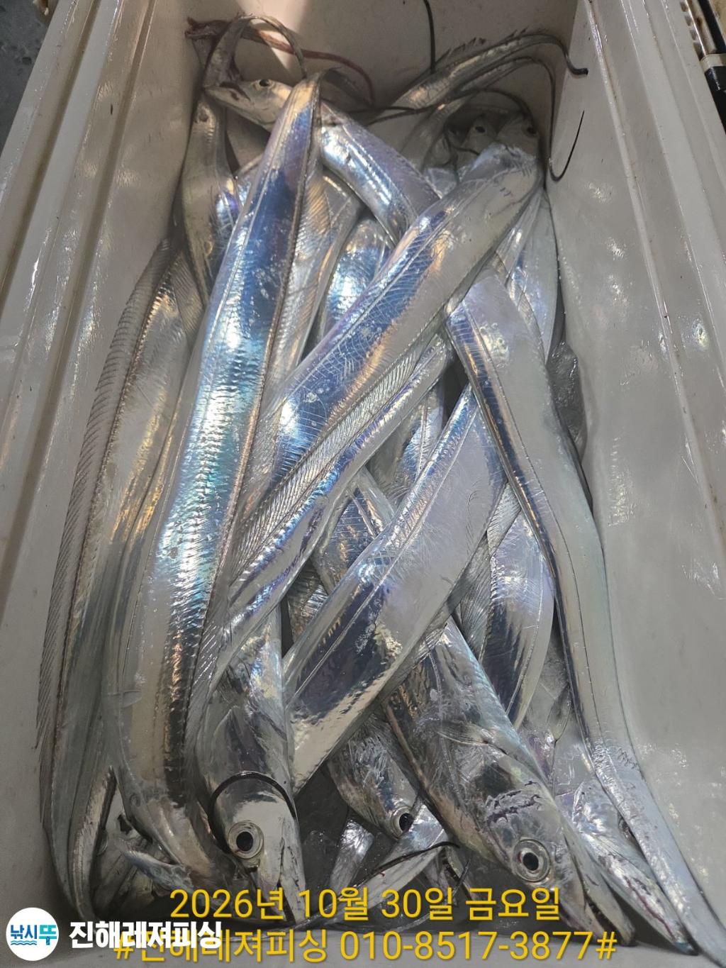 낚시뚜,갈치,진해1부두항,진해레져피싱,낚시뚜20