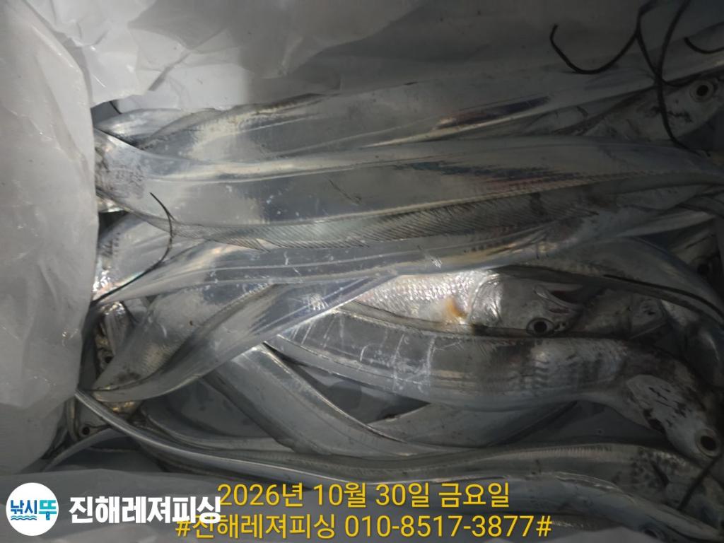 낚시뚜,갈치,진해1부두항,진해레져피싱,낚시뚜19