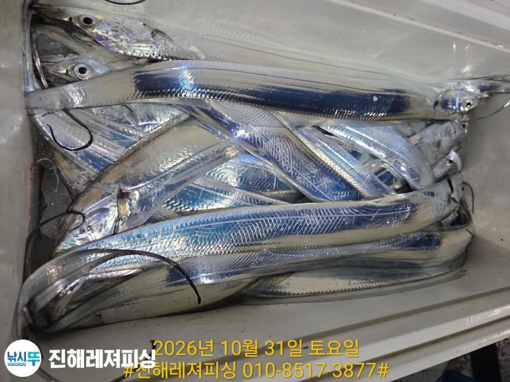 낚시뚜,갈치,진해1부두항,진해레져피싱,낚시뚜14