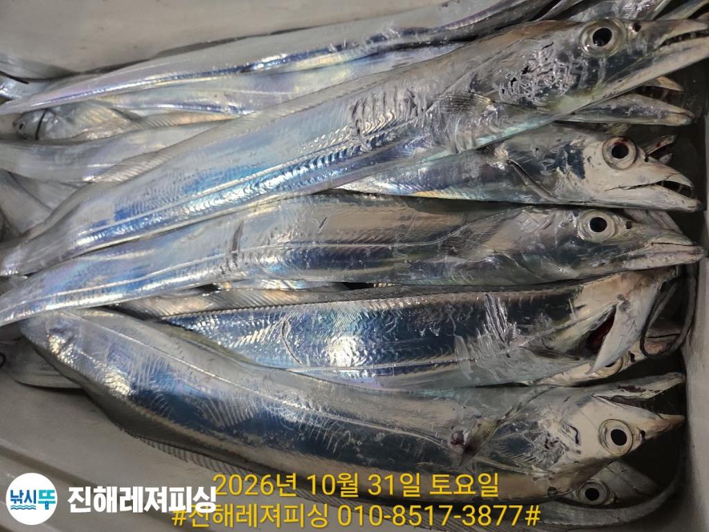 낚시뚜,갈치,진해1부두항,진해레져피싱,낚시뚜13