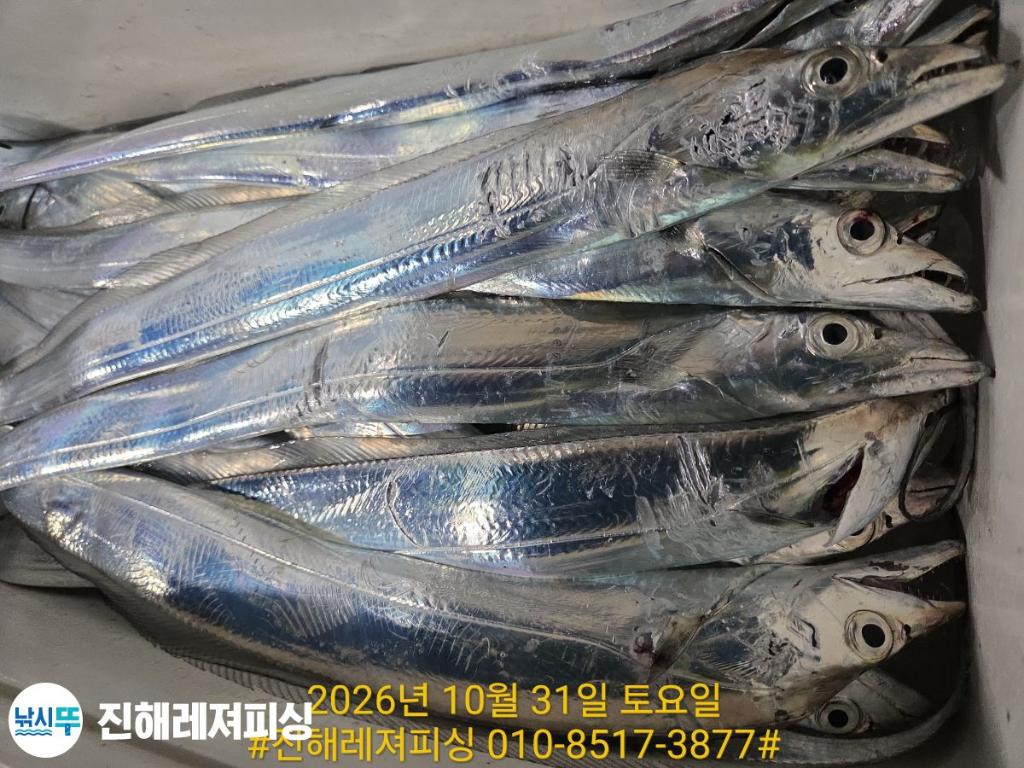 낚시뚜,갈치,진해1부두항,진해레져피싱,낚시뚜11
