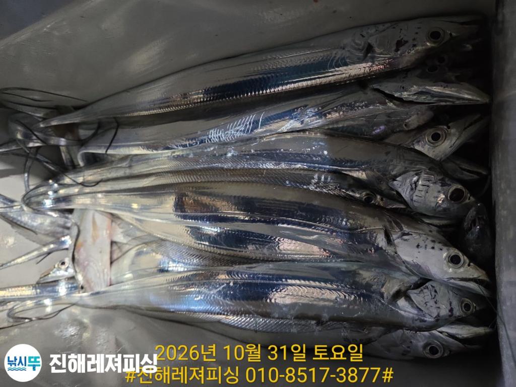 낚시뚜,갈치,진해1부두항,진해레져피싱,낚시뚜10