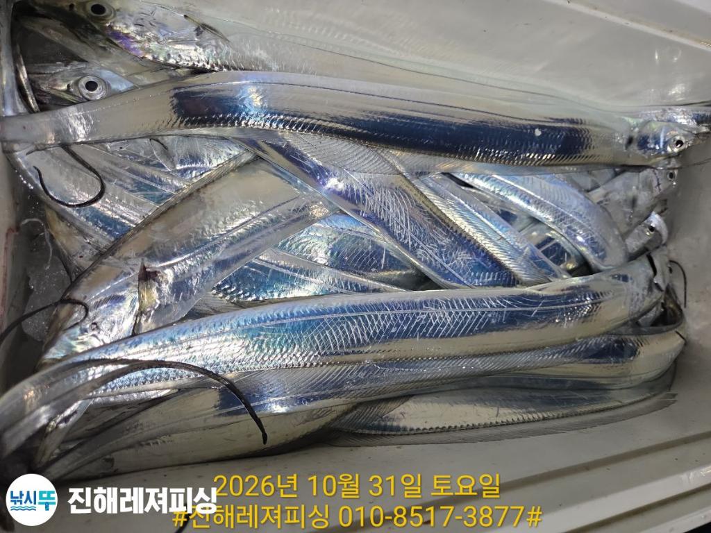 낚시뚜,갈치,진해1부두항,진해레져피싱,낚시뚜9