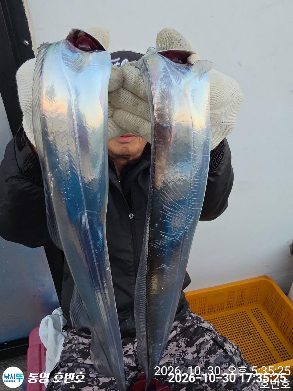 낚시뚜,갈치,통영 신전항,통영호반호,낚시뚜16