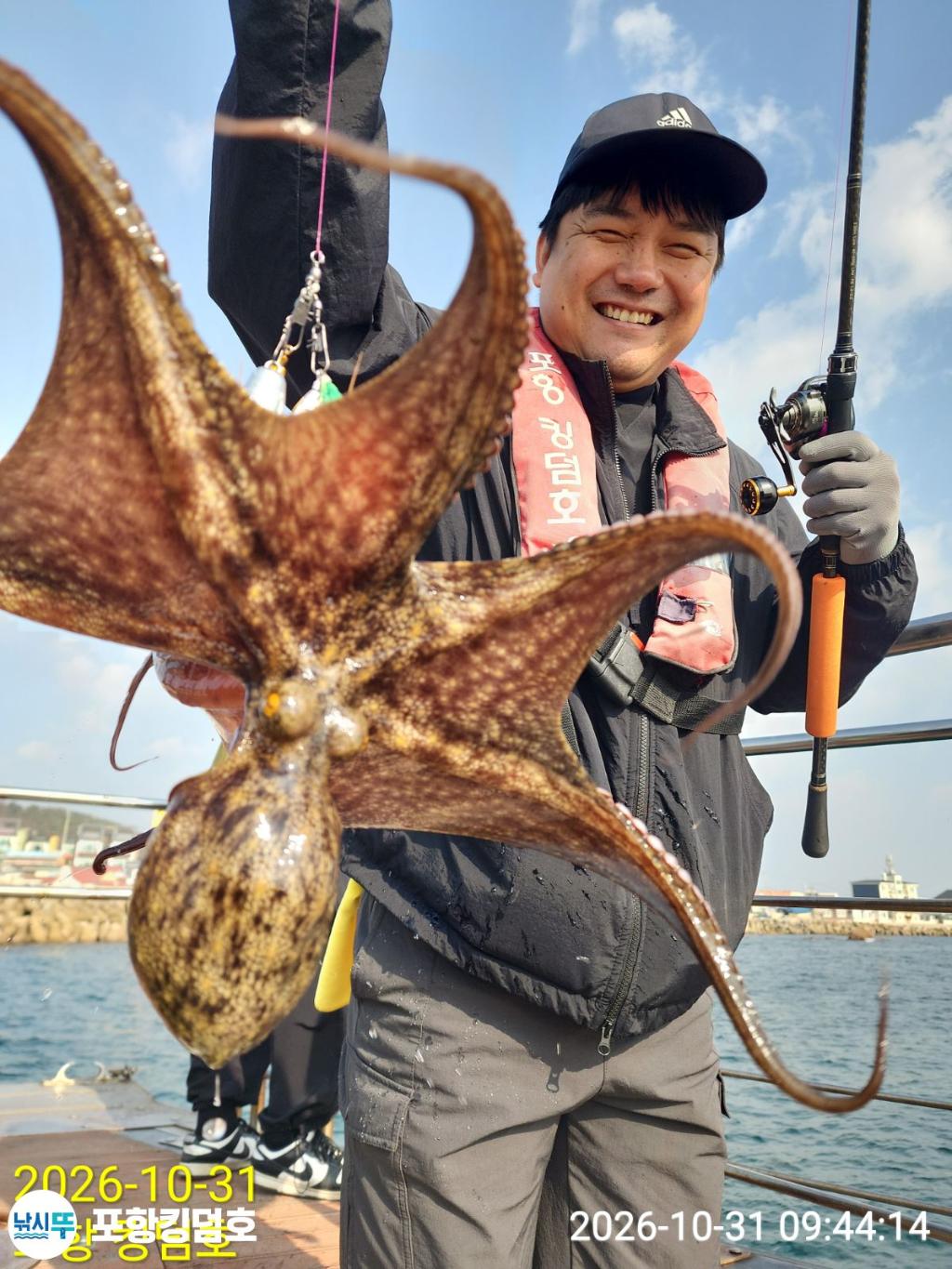 낚시뚜,돌문어,쭈꾸미,영일만항,포항 킹덤호,낚시뚜28