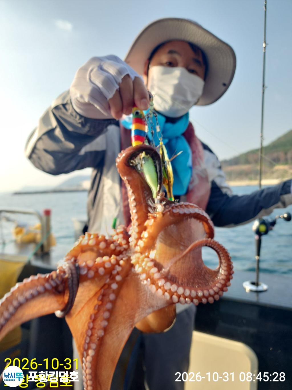 낚시뚜,돌문어,쭈꾸미,영일만항,포항 킹덤호,낚시뚜20