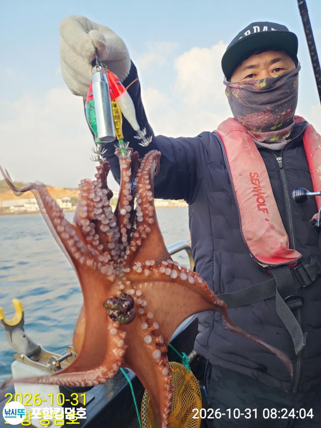낚시뚜,돌문어,쭈꾸미,영일만항,포항 킹덤호,낚시뚜16