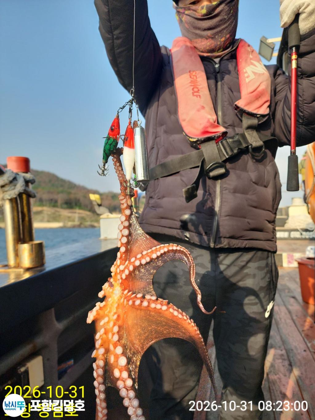 낚시뚜,돌문어,쭈꾸미,영일만항,포항 킹덤호,낚시뚜15