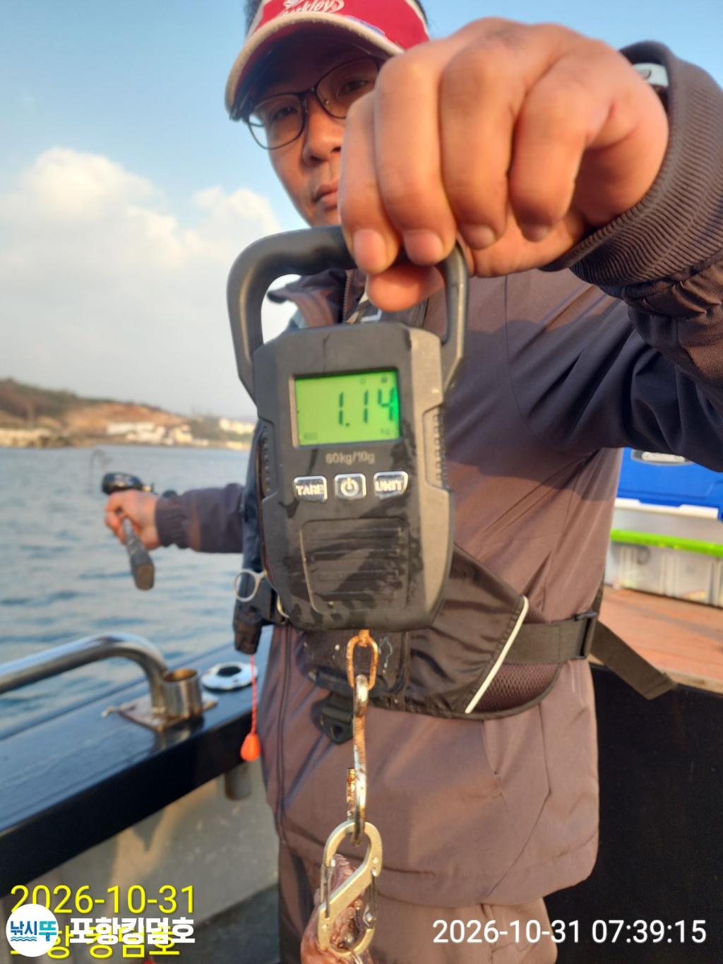 낚시뚜,돌문어,쭈꾸미,영일만항,포항 킹덤호,낚시뚜4