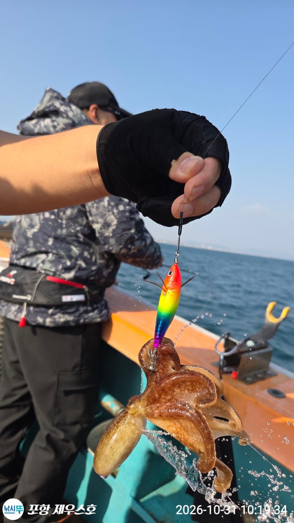 낚시뚜,돌문어,쭈꾸미,영일만항,포항 제우스호,낚시뚜17
