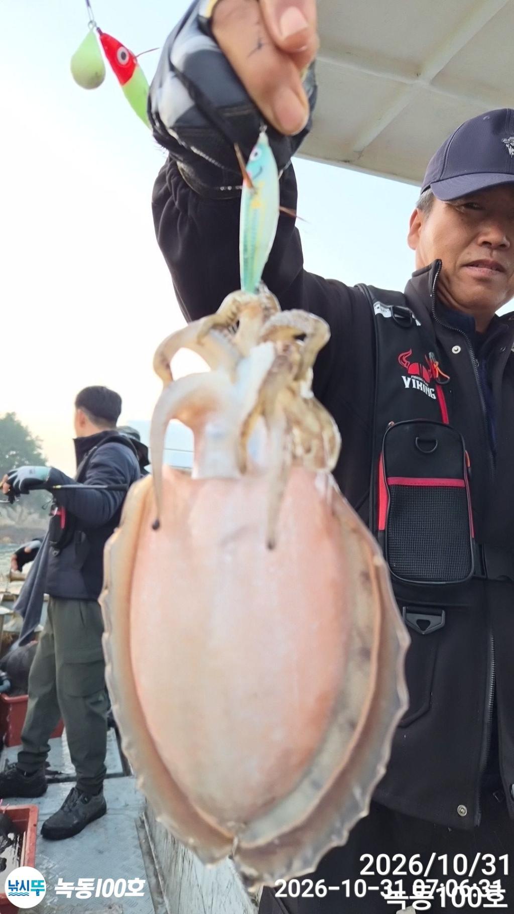 낚시뚜,갑오징어,돌문어,녹동항,녹동100호,낚시뚜9