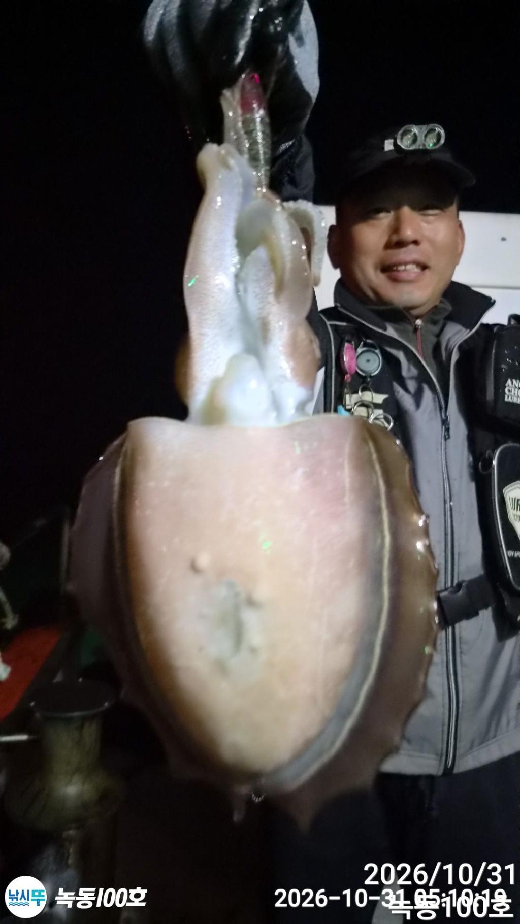 낚시뚜,갑오징어,돌문어,녹동항,녹동100호,낚시뚜8