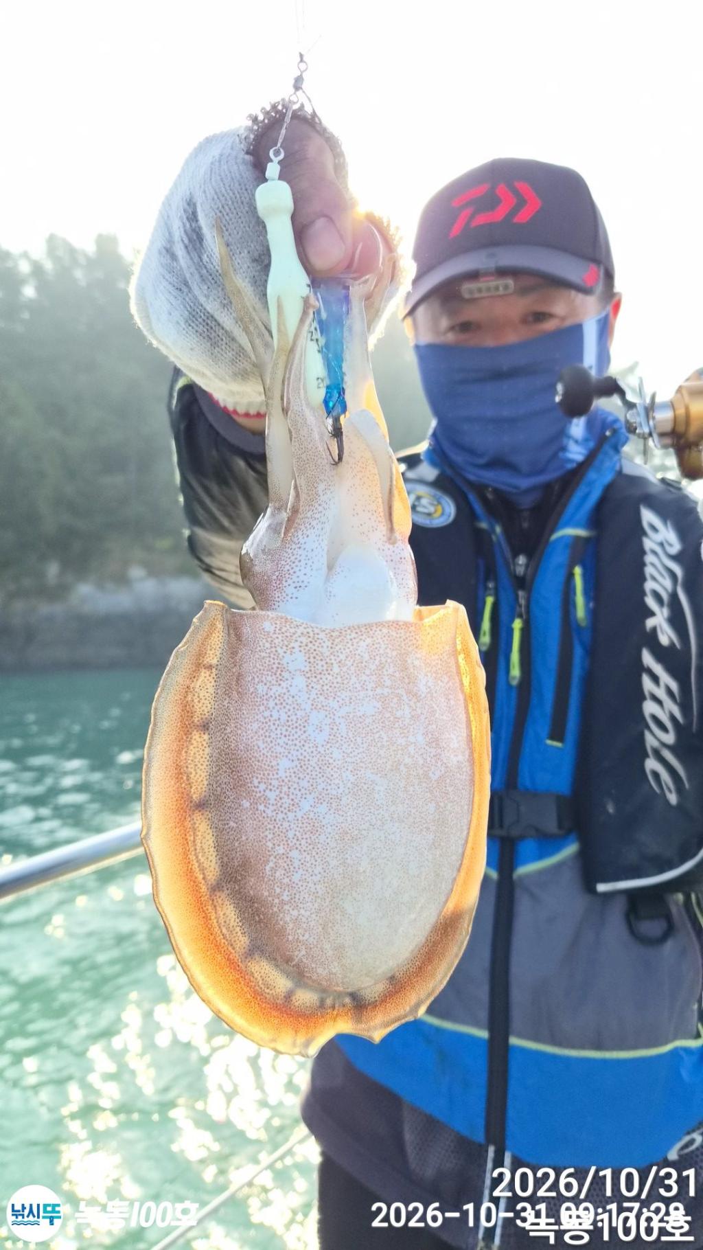 낚시뚜,갑오징어,돌문어,녹동항,녹동100호,낚시뚜1