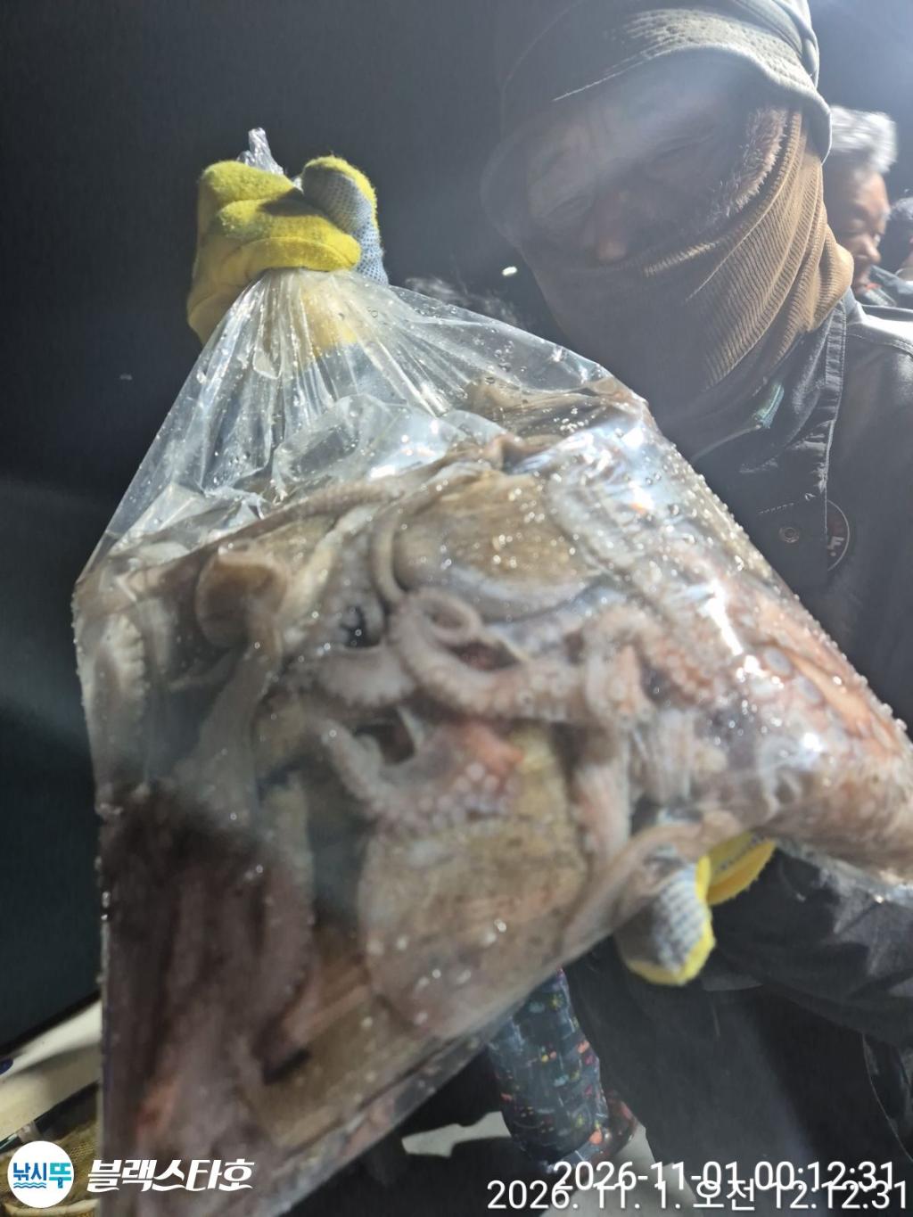 낚시뚜,돌문어,삼천포 팔포항,삼천포 블랙스타,낚시뚜23