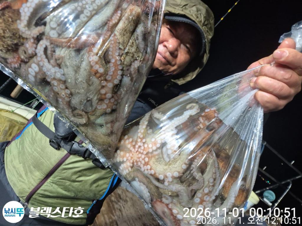 낚시뚜,돌문어,삼천포 팔포항,삼천포 블랙스타,낚시뚜22