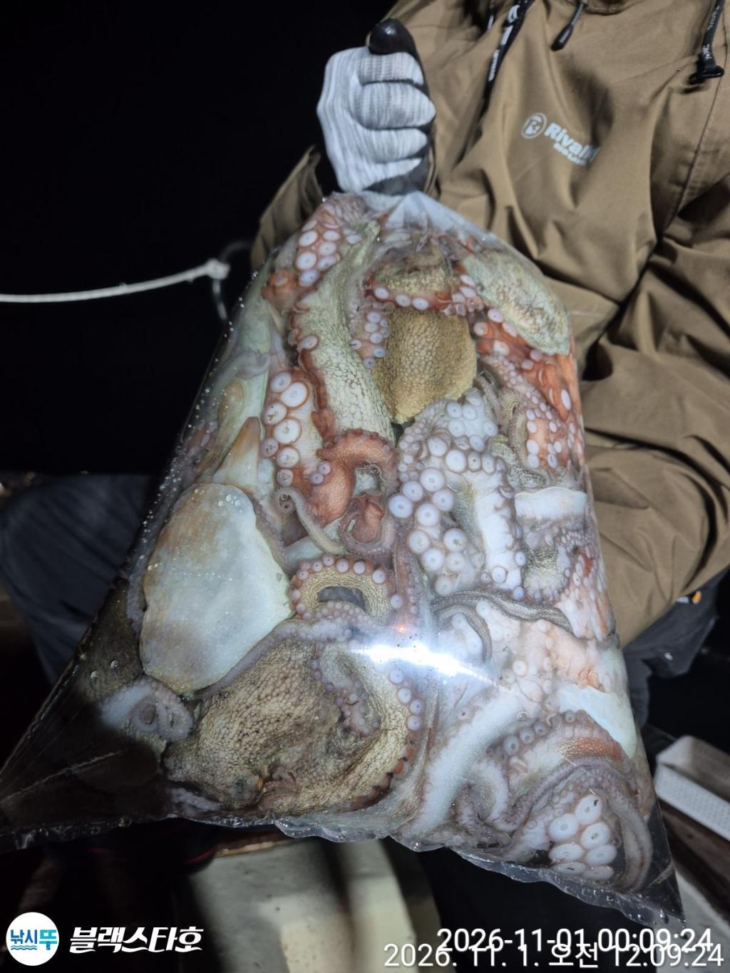 낚시뚜,돌문어,삼천포 팔포항,삼천포 블랙스타,낚시뚜20