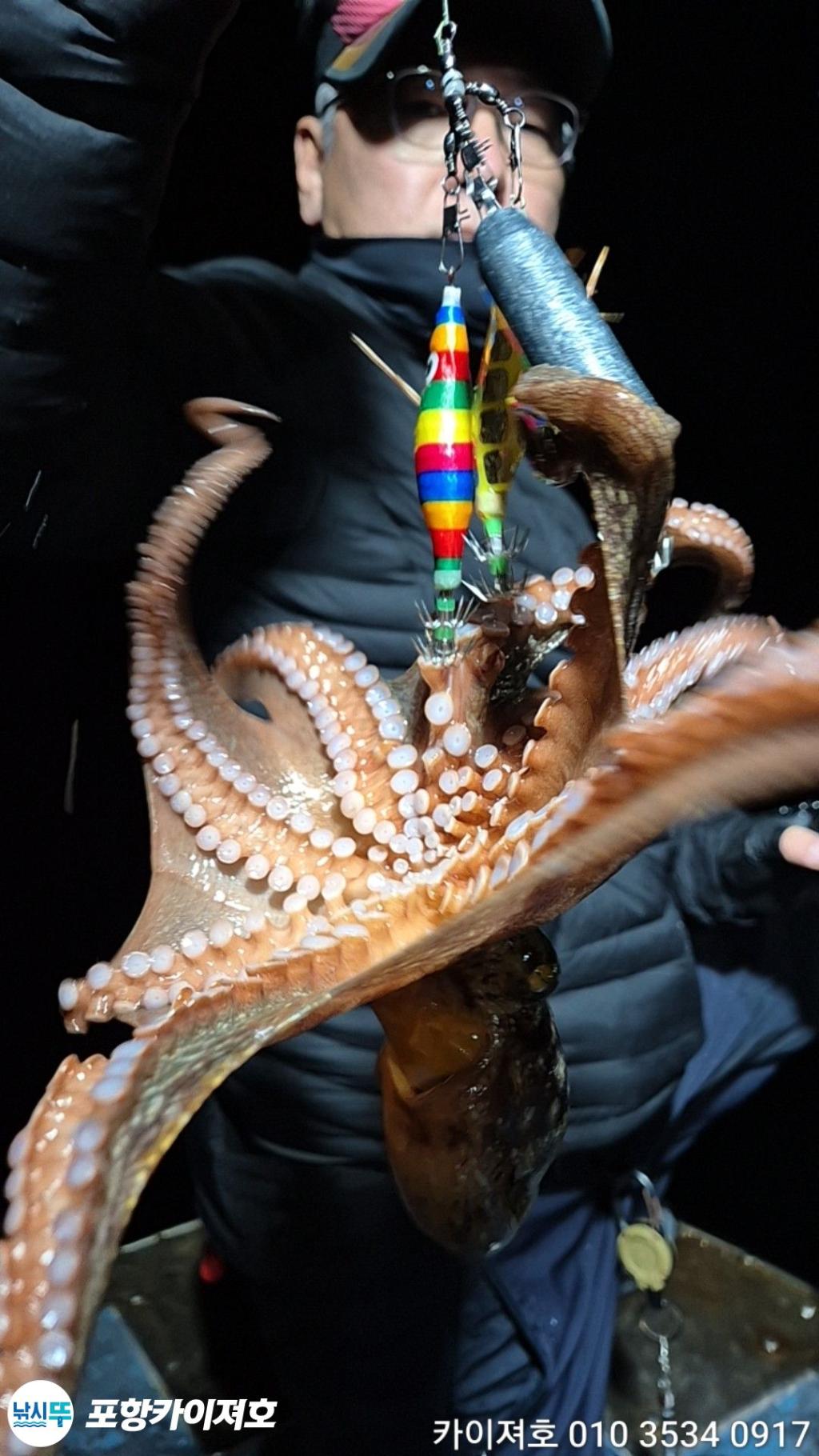 낚시뚜,기타 (직접입력),영일만항,포항카이져호,낚시뚜22
